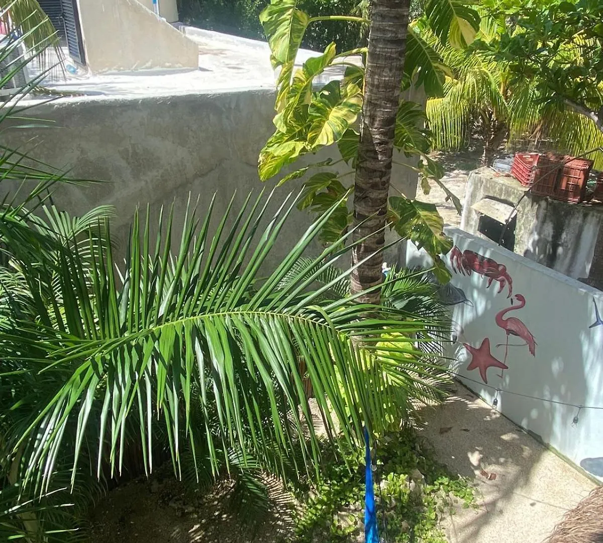 Hotel Pelecanus Suites Holbox Isla Holbox