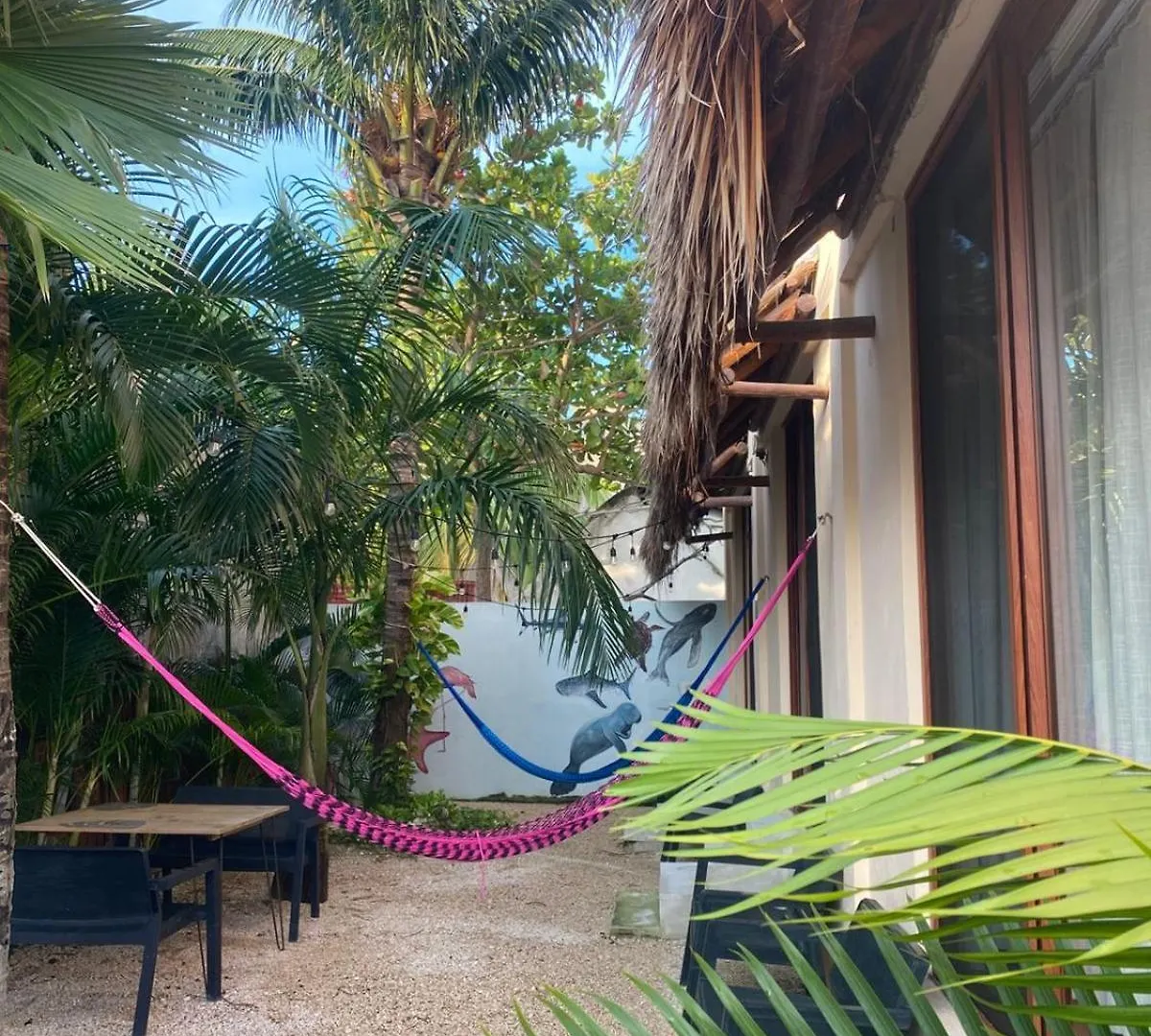 Hotel Pelecanus Suites Holbox