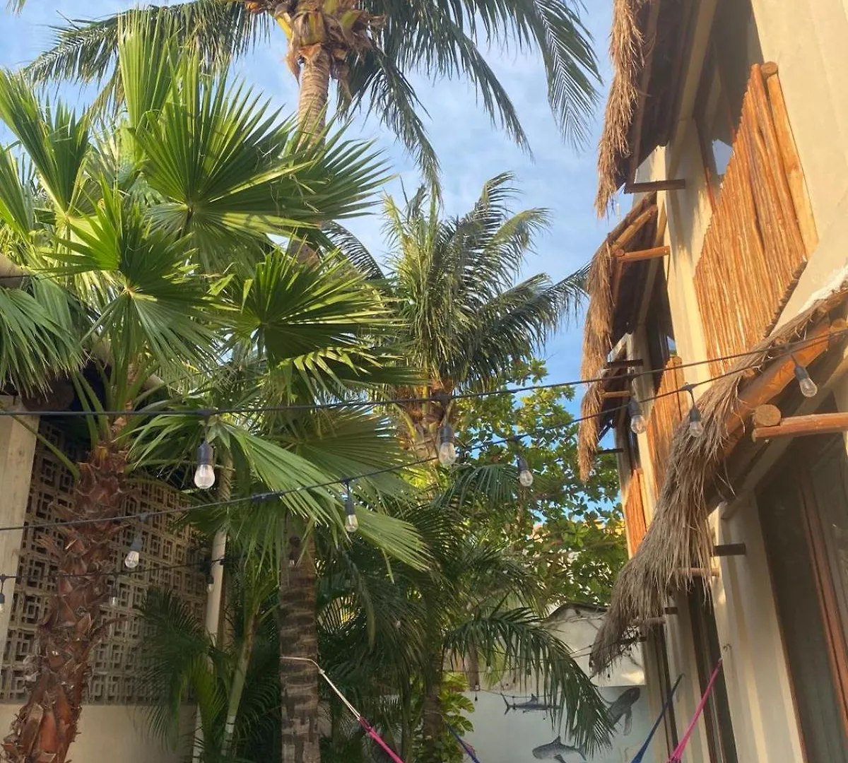 Hotel Pelecanus Suites Holbox  Isla Holbox